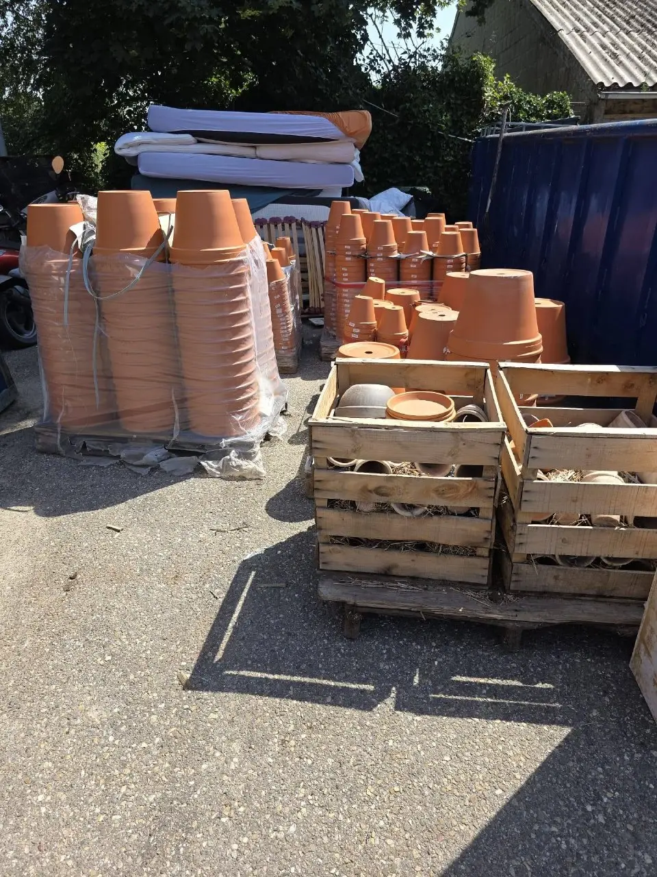 Grote partij tuinpotten, diverse maten en soorten, foto 4 van 4