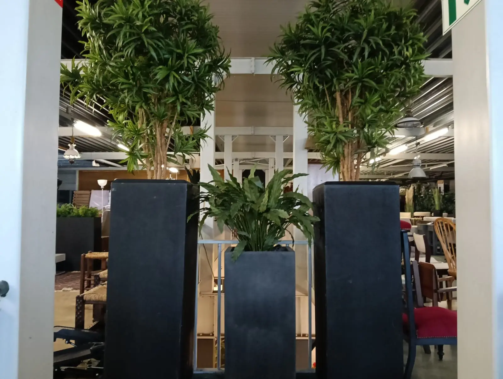 Planten